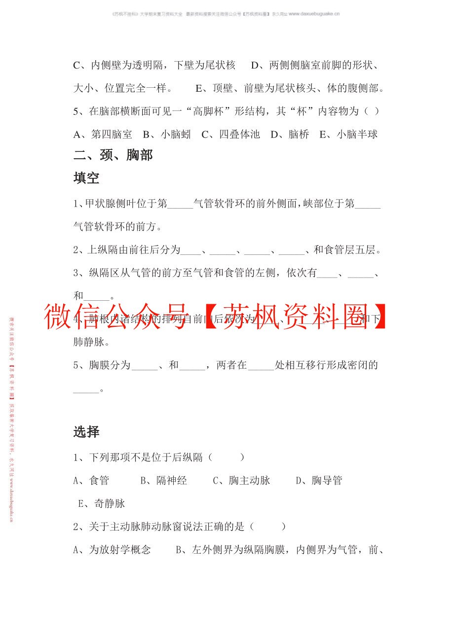 人体断层影像解剖学